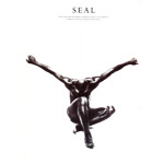 Seal-Seal