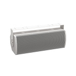 BOSE ArenaMatch Utility AMU208 White Ηχείο