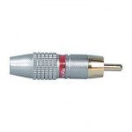 PROEL MRCA-35RD RCA Αρσενικό