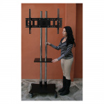 PTR08 GUIL - Image 2