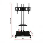 PTR08G GUIL - Image 2