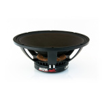 LSN18/8 MASTER AUDIO