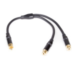 RCA100 MASTER AUDIO