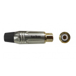SP49GRCAF N TASKER