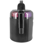 STAR VOICE BOOMTONE DJ - Image 3