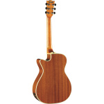 ONE A150CE NATURAL EKO GUITARS - Image 2