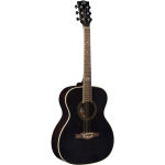 NXT A100STB EKO GUITARS