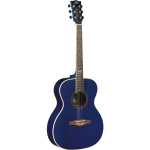 NXT A100STb EKO GUITARS