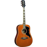 RANGER VIVR NATURAL EKO GUITARS