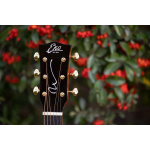 WOW D800E SS EKO GUITARS - Image 5