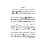 Chedeville, Nicolas - Il Pastor Fido, Six Sonatas for Musette, Hurdy Gurdy, Flute, Oboe or Violin and Basso continuo Attributed to Antonio Vivaldi - Image 2