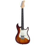 Larry Carlton S1 TS
