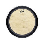EVANS BD18EMADCT 18" EMAD Calftone Batter Δέρμα Κάσας | ΚΑΠΠΑΚΟΣ